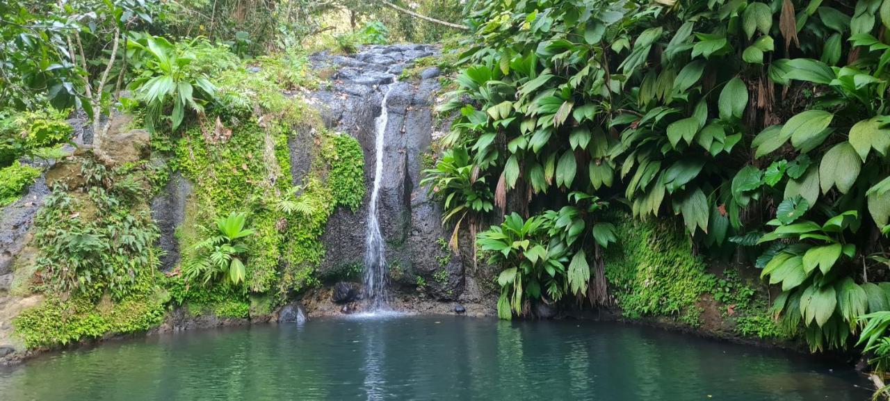 Gite Kaz A Topaze, Piscine, Jardin Tropical Sainte-Rose Exterior foto